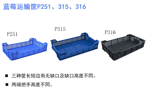 营口塑料筐型号,蓝莓筐新款-沈阳兴隆瑞